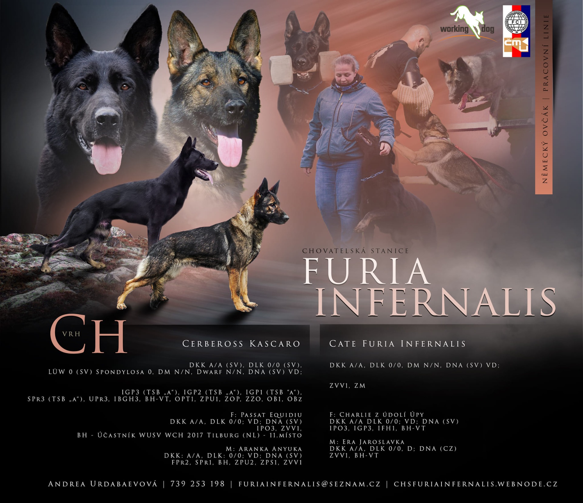 no-ch-chsfuriainfernalis